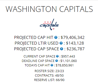 Capitals Cap 2-20-2019